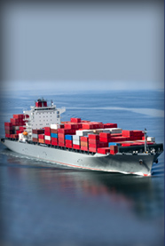 Import / Export Services