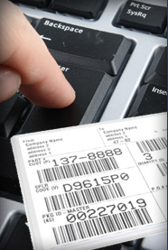 Distribution Services