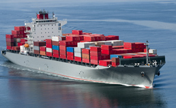 Import / Export Services